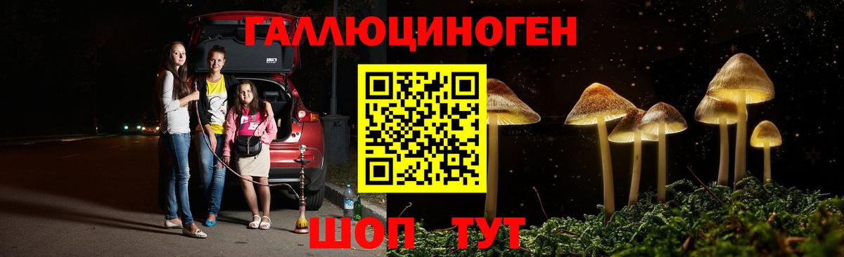 Тейково  Галлюциногенные грибы мухоморы  даркнет сайт  Галлюциногенные грибы прущие грибы  Вход с VPN 